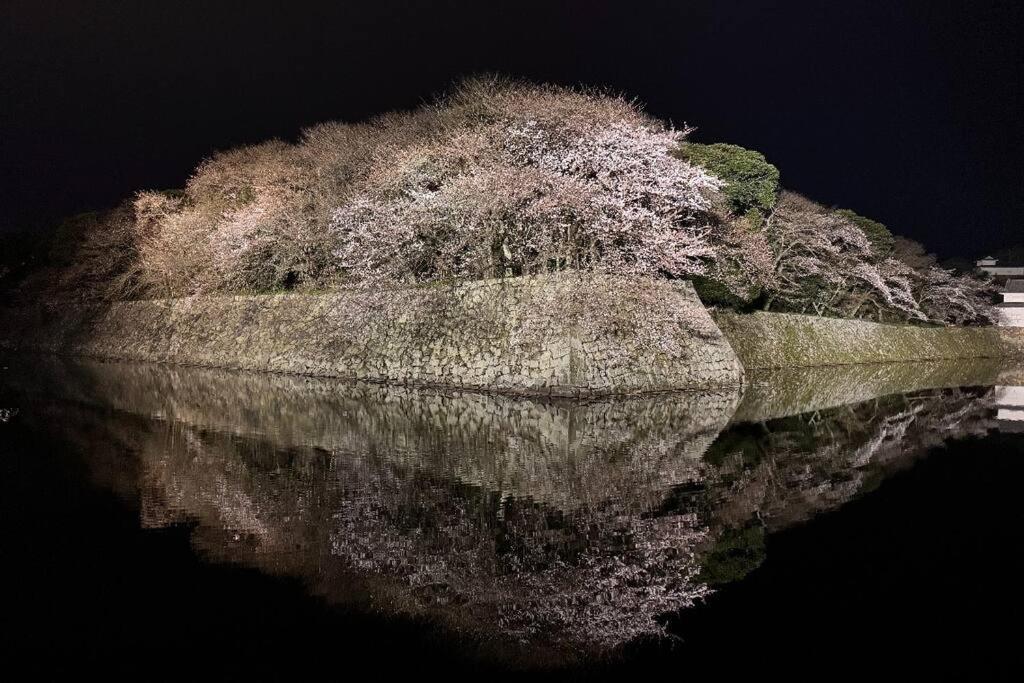 彦宿hikojyuku戸建て貸切宿 Hikone Dış mekan fotoğraf